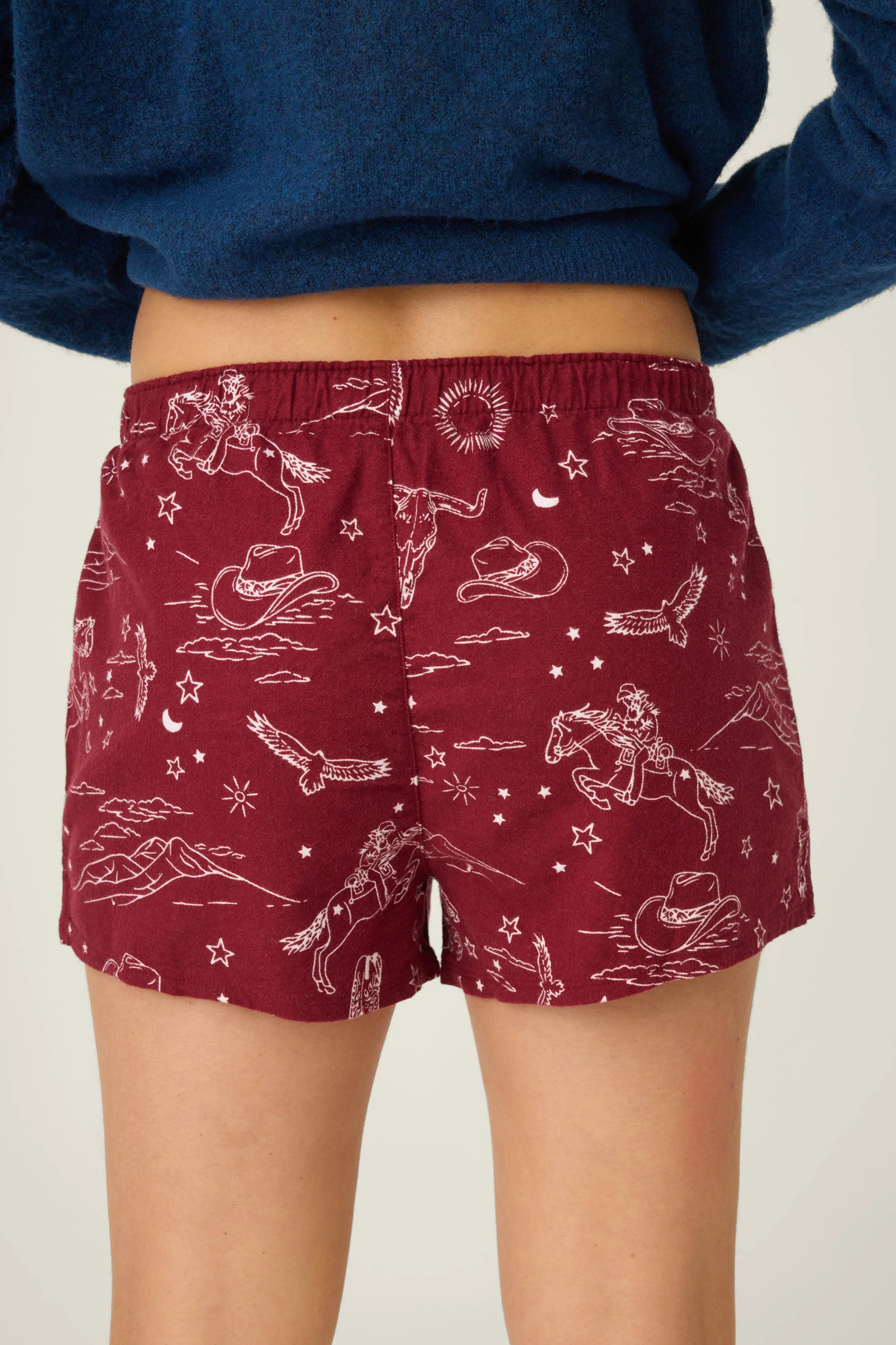 Hold Your Horses Western Print Flannel Shorts - Image 4
