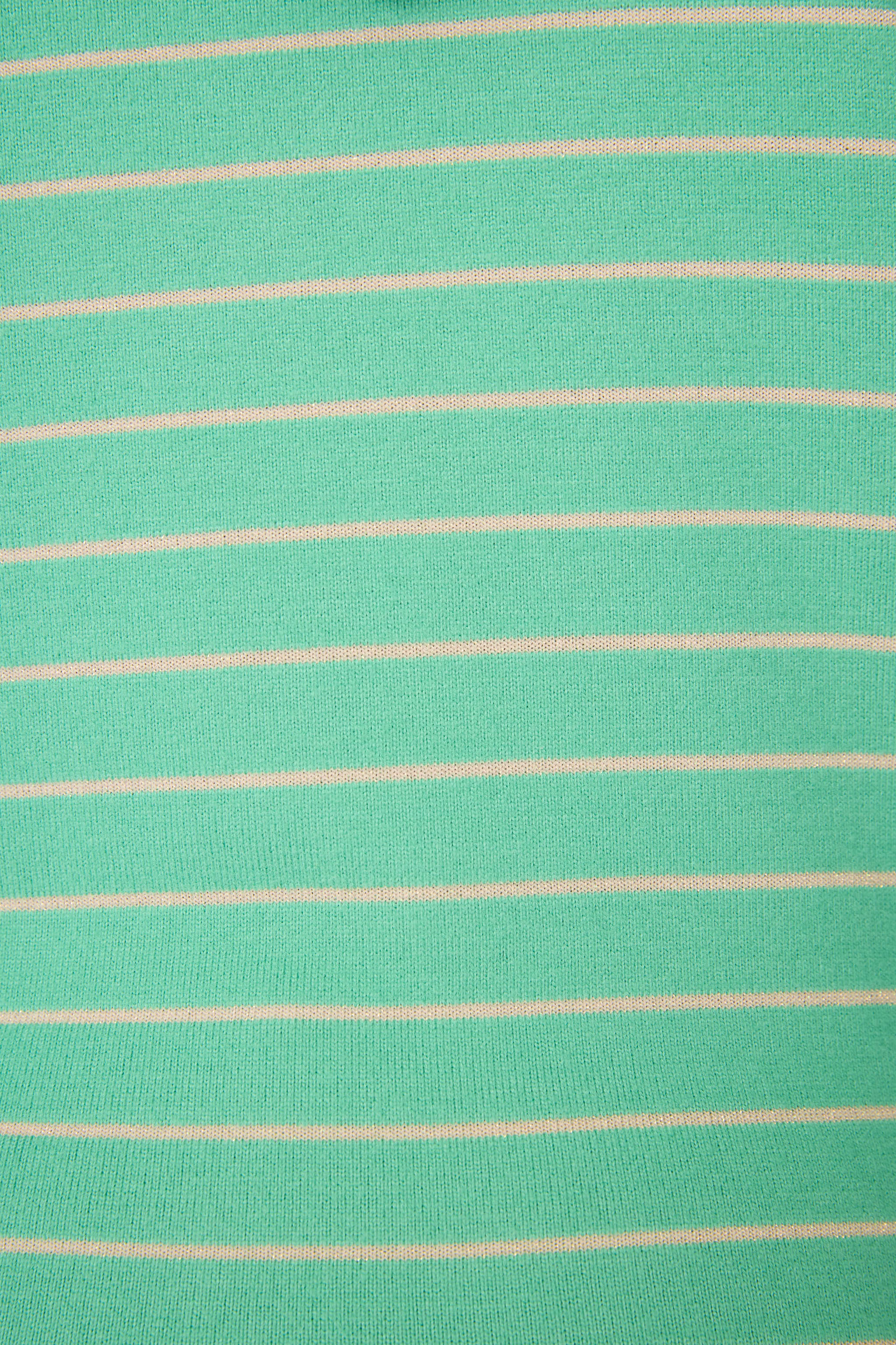 Peace & Pawlidays Green Stripe Hoodie - Image 2