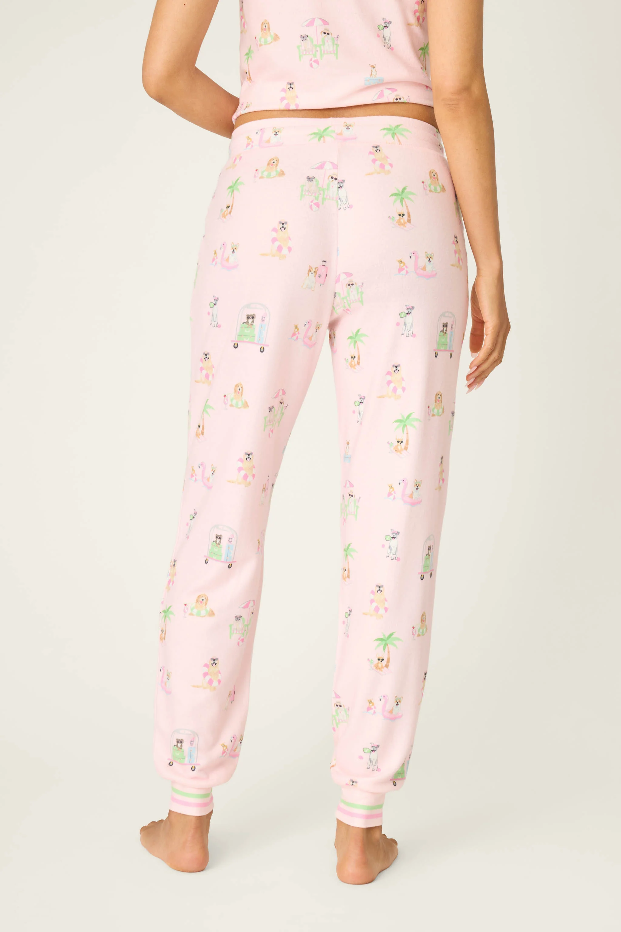 Pupcation Palms Sunnies & Sunshine Banded Pants - Image 4